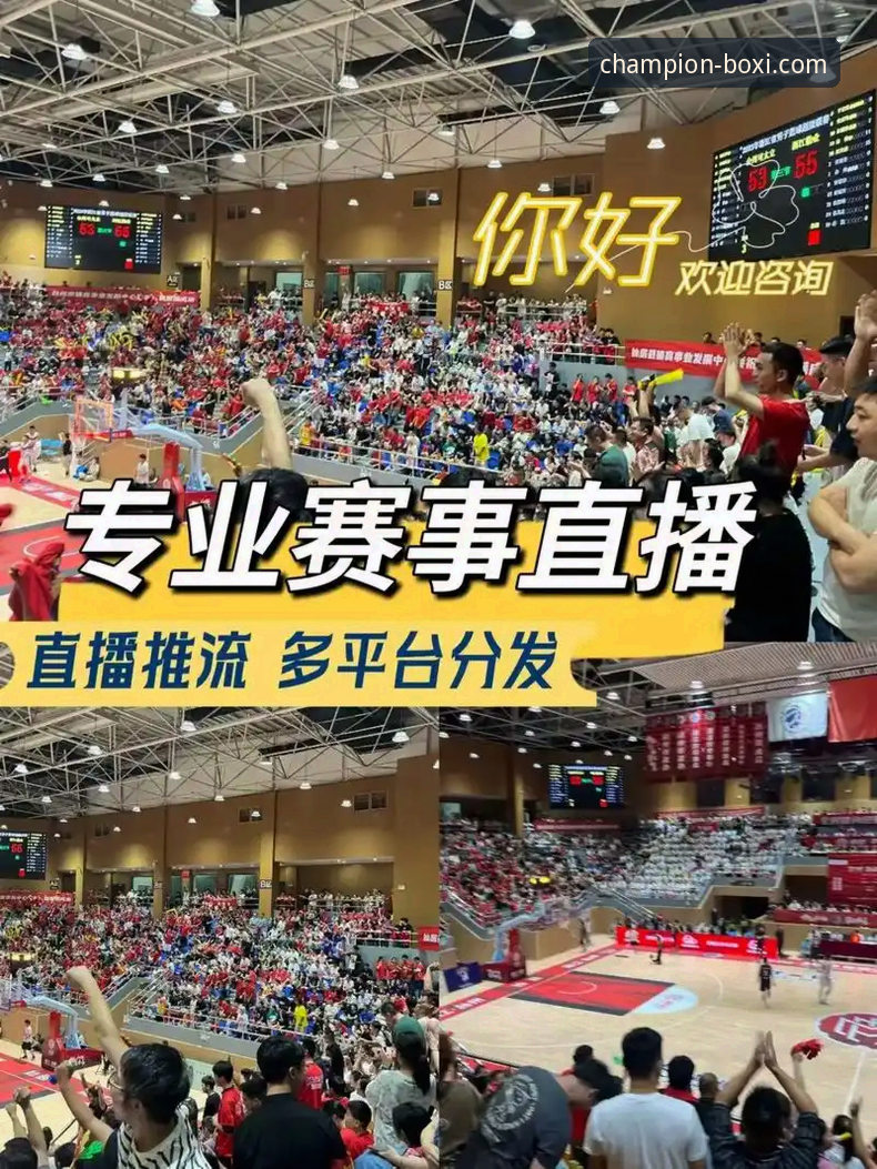 博喜体育高清直播平台全面解析：技术视角下的专业赛事体验